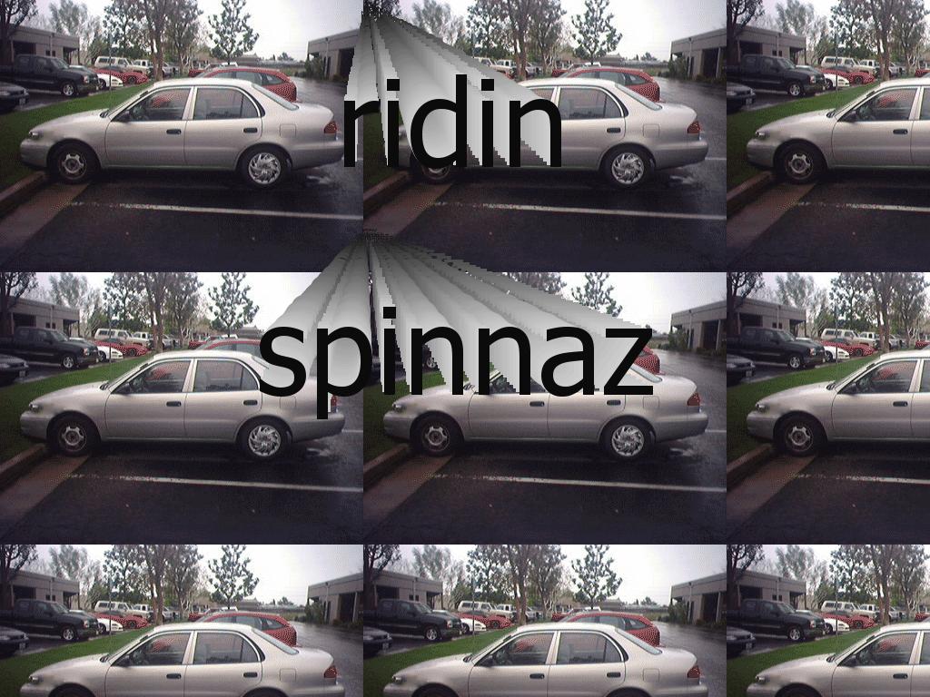 corollaspinnaz