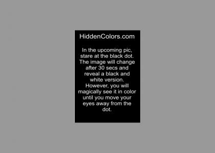 See Colors in Black & White Photos