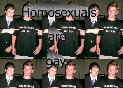 HOMOSEXUALS ARE GAY