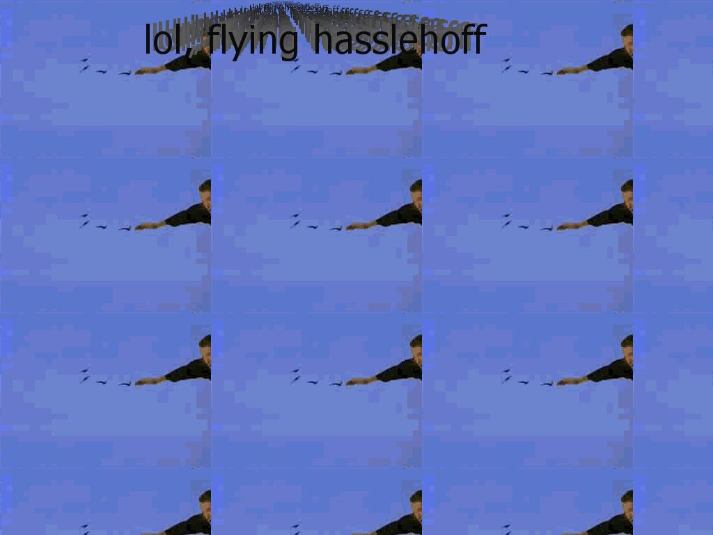 flyinghasslehoff