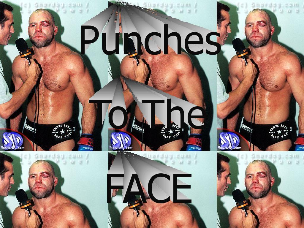 punchestotheface