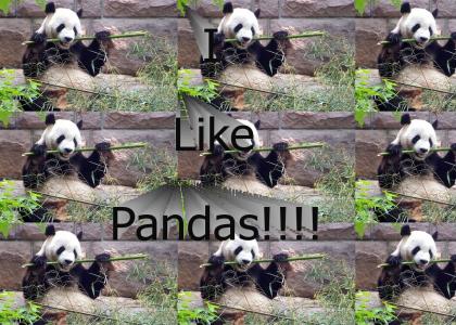 I Like Pandas!