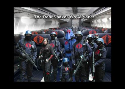 The Real Snakes On A Plane