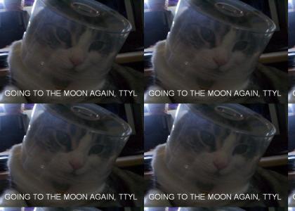 Another Moon Cat Moment