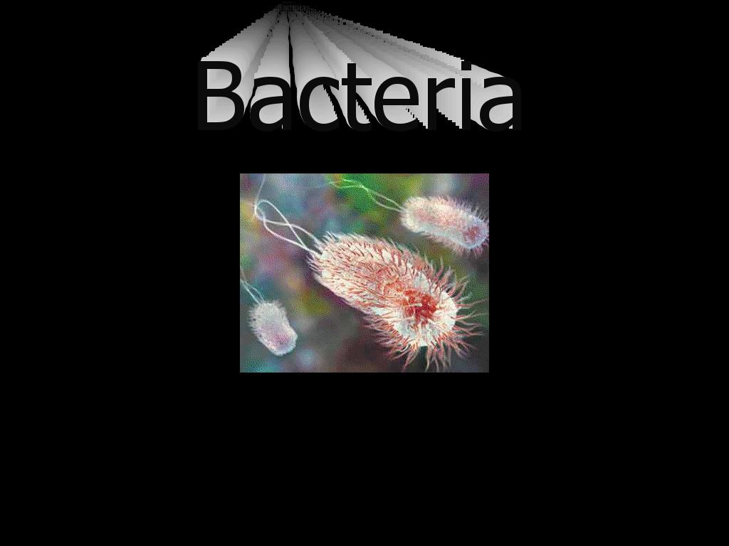BacteriaBacteria
