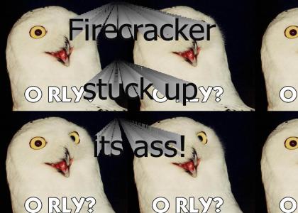 What's O RLY owl's problem?