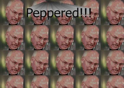 Cheney goes ballistic like Picard (4 different sneers!)