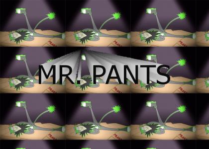 MR. PANTS