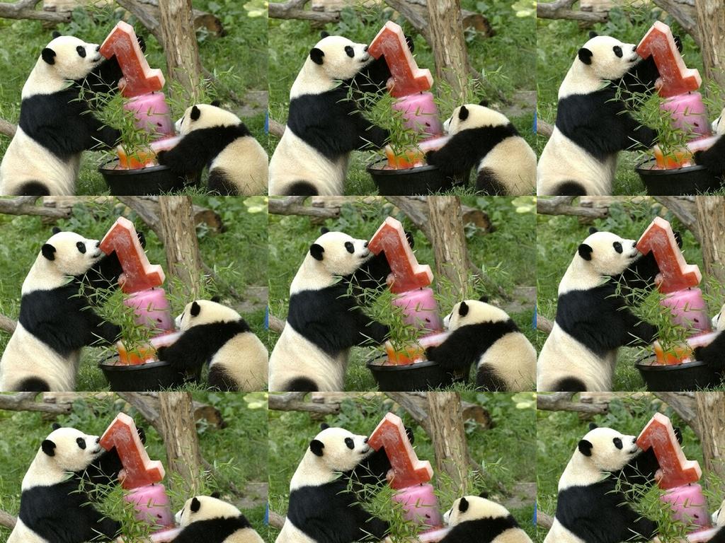 pandasloveicecream