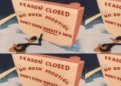 Don't even Molest a Duck