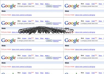 Even Google Knows Steve Irwin pwns!