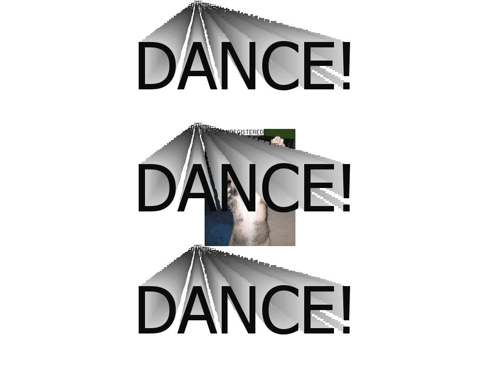 technodancecat