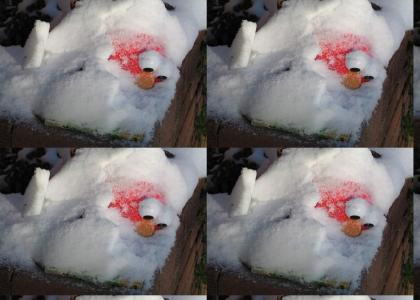 Elmo Freezes To Death