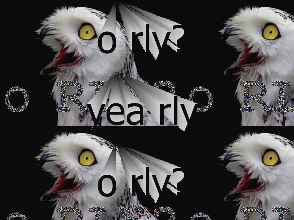 owlrly1