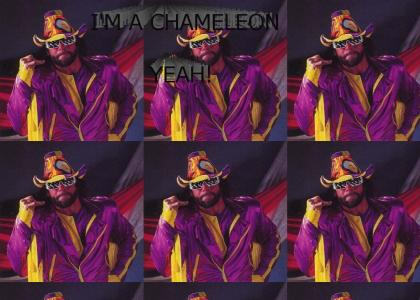 macho man is a chameleon