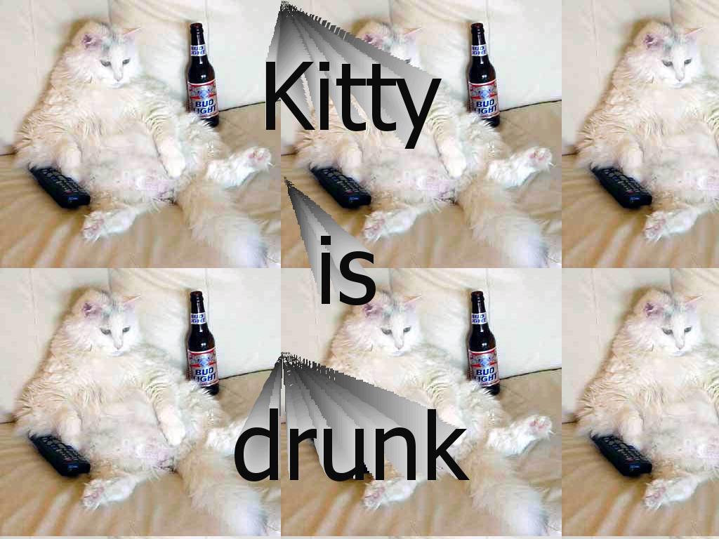 drunkencat