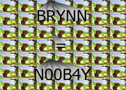 Brynn is TEH NOOBAY