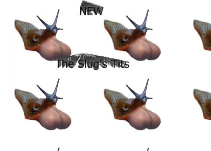 The Slug's Tits (description)