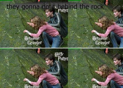 Hermione and Harry behind the rock