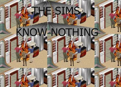 sims know nothing