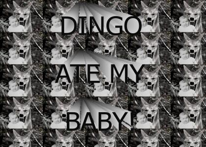 dingo ate my baby!