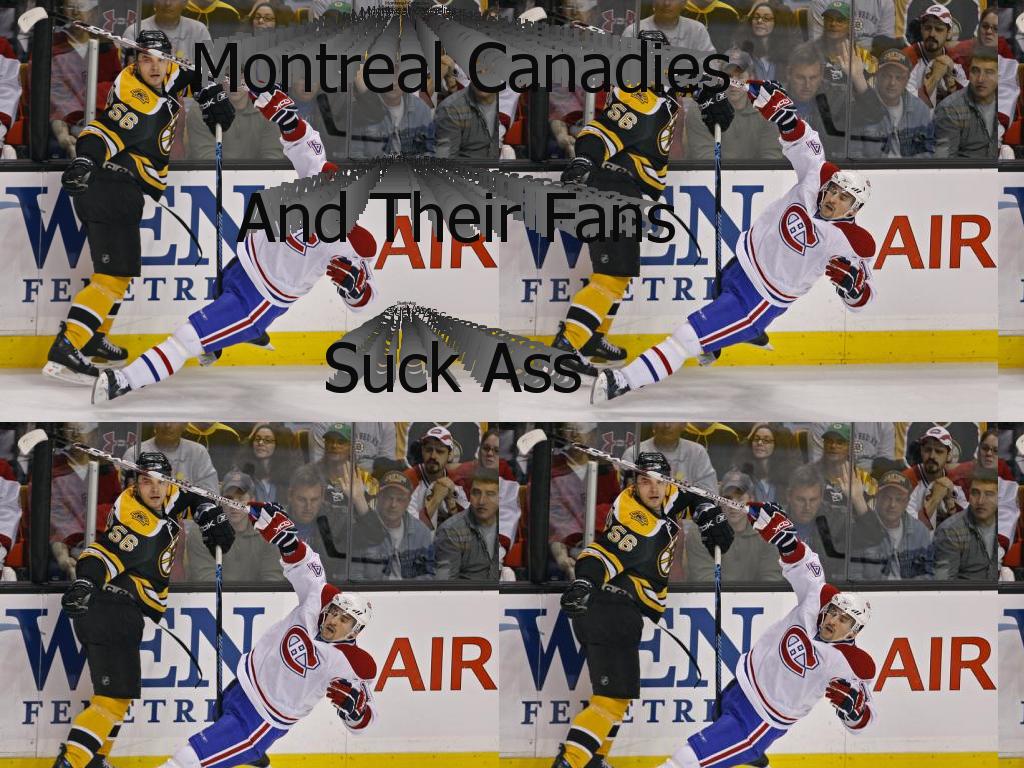 canadienssuck