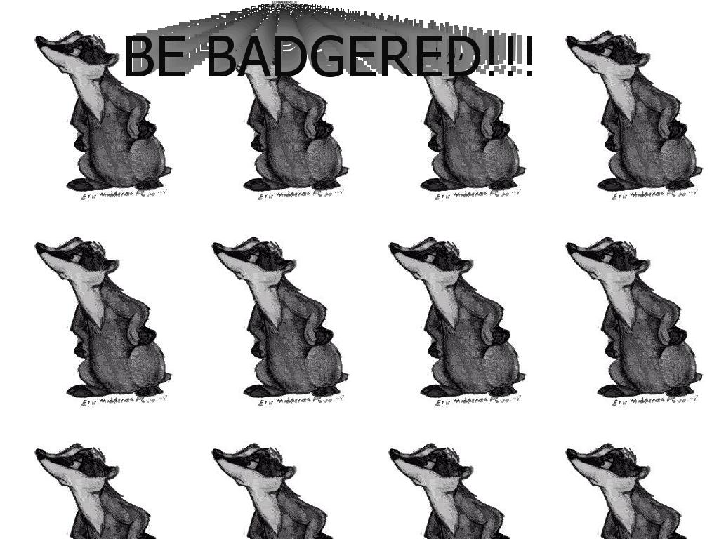 badgers1