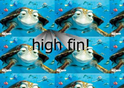 high fin!