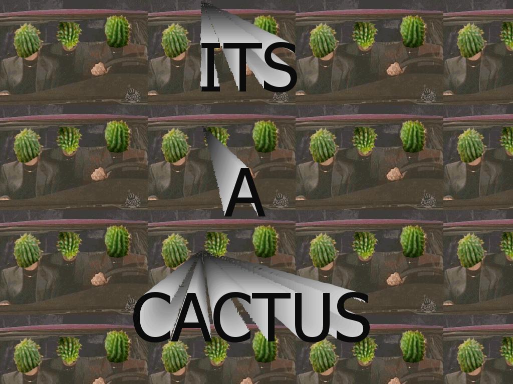 cactuscactuscactus