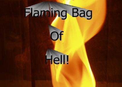 Eat A Flaming Bag Of Hell