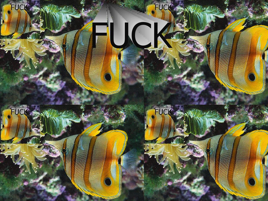 fuckfish7