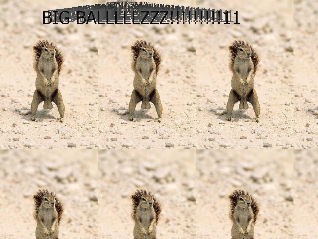 bigballslolzers