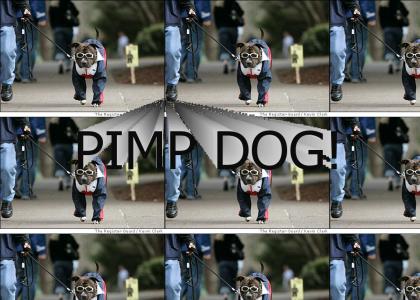 PIMP DOG!