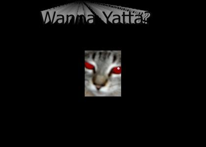 Demon Kitty Wanna Yatta?