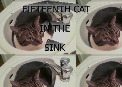 FIFTEENTH CAT IN THE SINK