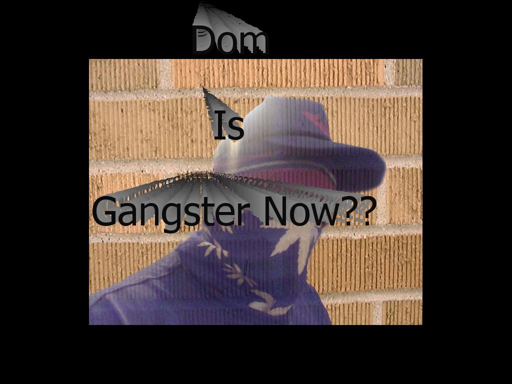 DomisGangsterrr