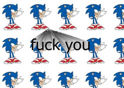 what sonic thinks about people who hate my sites!