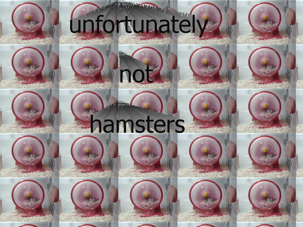 hamsterspin