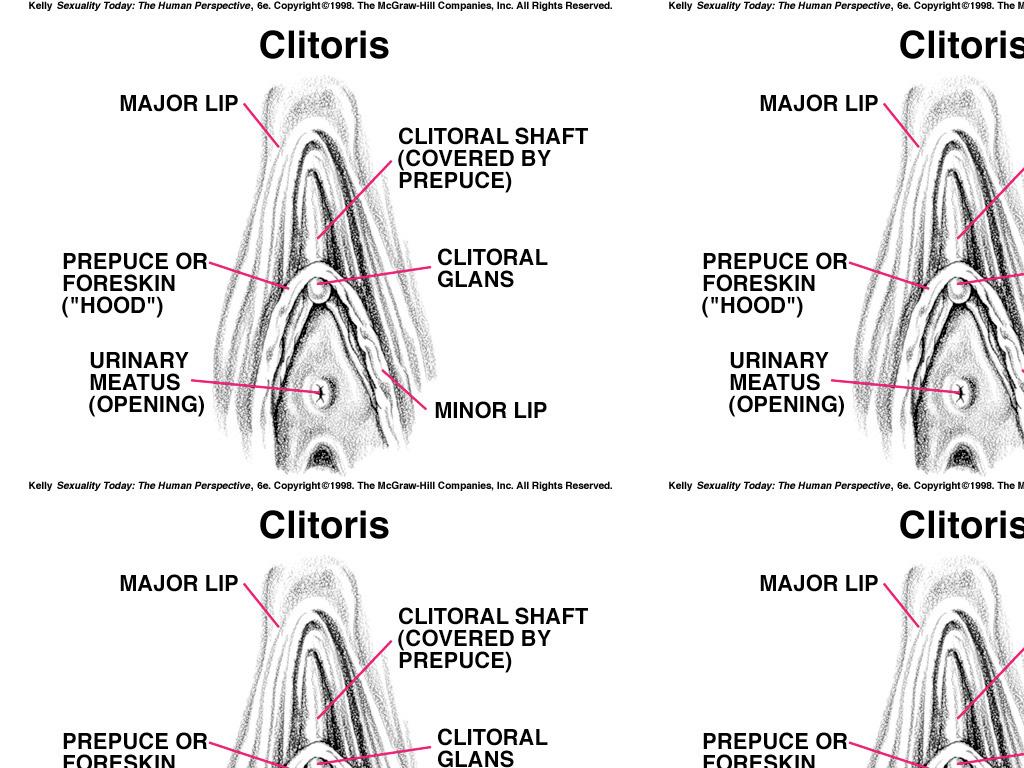 Cliroris101