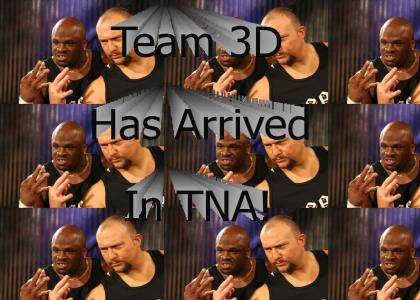 Team 3D