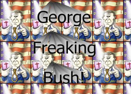George Bush's United states of WHATEVER