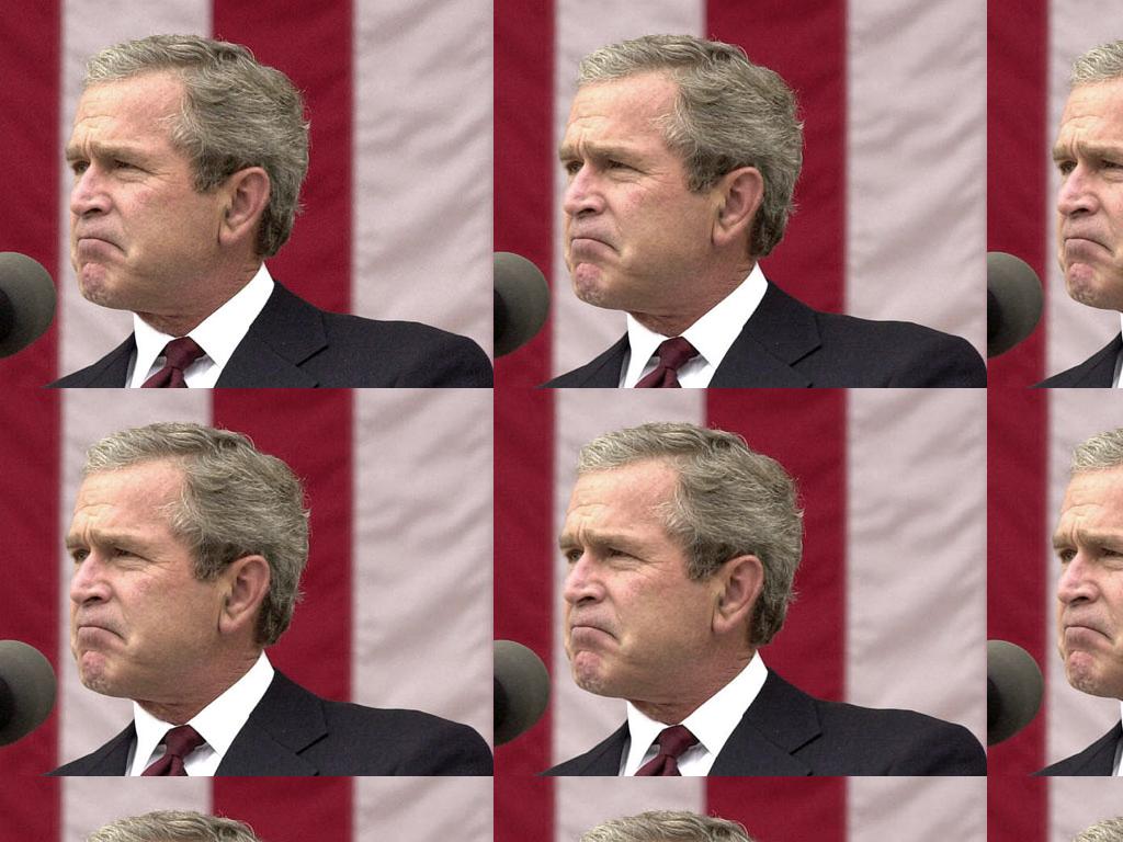 bushupset