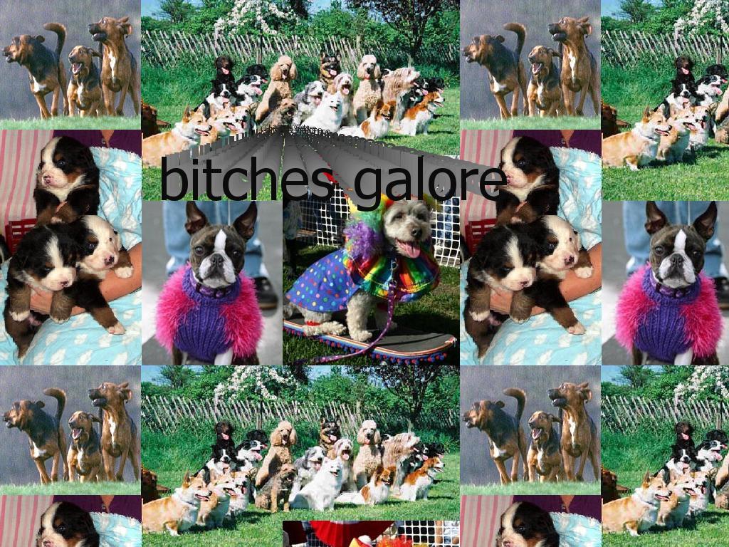 alotofbitches