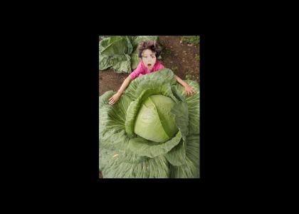 Cabbages from mars abduct our children!!!!!