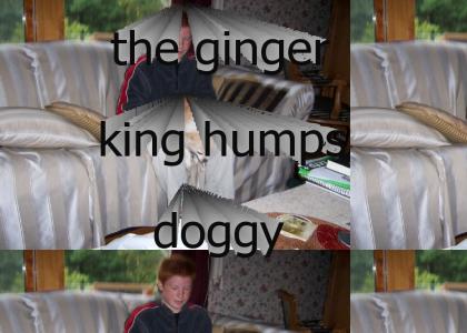 ginger king dog humper