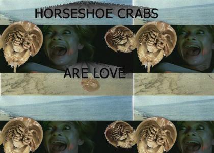 Just Flip 'Em (And Save the Horseshoe Crab)