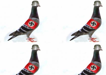 Real Nazi Carrier Pigeon