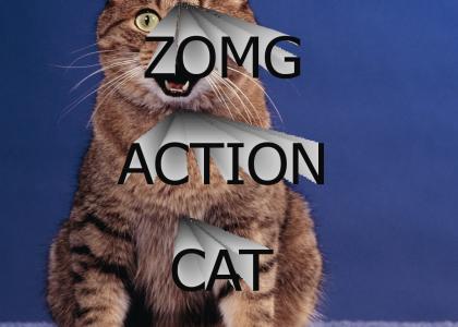ACTION CAT