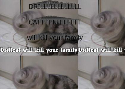 Drill cat will kill your family