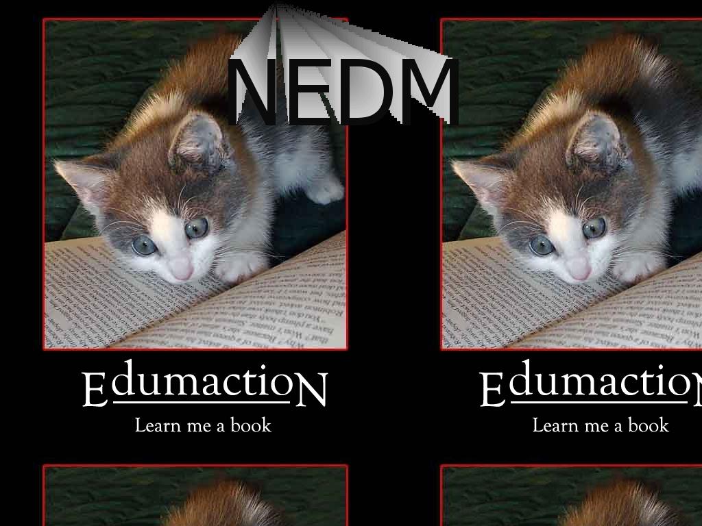 nedmnocatkilling